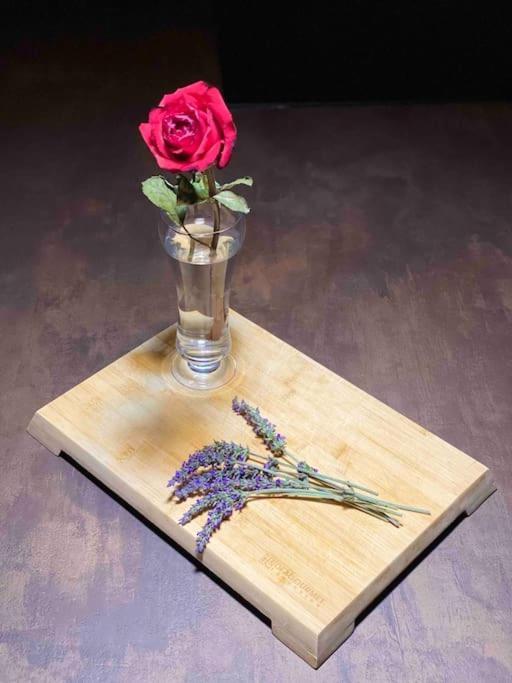 Appartamento The Wild Lavender Cecchina Esterno foto